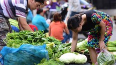 Đừng đổ xô mua hàng tích trữ vì Corona