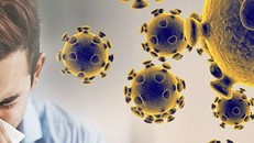 Cập nhật sáng ngày 12/2: Thêm 94 người tử vong, người mới nhiễm nCoV giảm mạnh