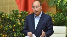 Chính phủ yêu cầu bộ, ngành, địa phương kịp thời phòng, chống dịch bệnh và giảm thiểu, bù đắp những thiệt hại do dịch bệnh gây ra