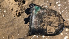 750 bao tải lạ chứa chất thải màu đen dạt vào bờ biển Bến Tre 