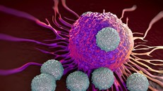 Tế bào T tấn công các tế bào độc hại với cơ thể. Ảnh: Shutterstock.