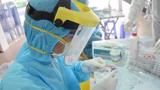 Ngày thứ 7 liên tiếp Việt Nam không có ca mắc mới Covid-19