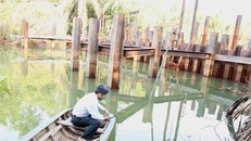 Cán bộ kỹ thuật của Sở Nông nghiệp và Phát triển nông thôn kiểm tra đo độ mặn tại đập ngăn mặn tạm thời trên sông Hàm Luông, xã Đông Sơn, thành phố Bến Tre.