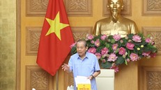 Phó Thủ tướng Thường trực Chính phủ Trương Hòa Bình phát biểu tại cuộc họp