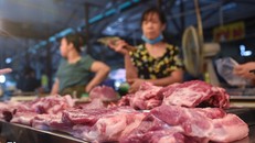 Giá bán thịt lợn mảnh trong nước đang ở mức cao, chủ yếu quanh mức 150.000-180.000 đồng/kg. 