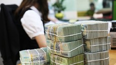 VEPR: Việt Nam không thể nới lỏng tiền tệ quy mô lớn như các nước VEPR: Việt Nam không thể nới lỏng tiền tệ quy mô lớn như các nước