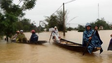 Nhiều trường đại học giảm học phí cho sinh viên vùng bị bão lũ