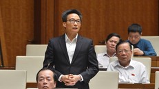  Phó Thủ tướng Vũ Đức Đam