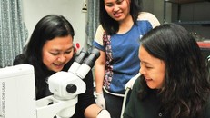 Được thành lập từ năm 2011, chương trình PEER đã hỗ trợ nâng cao năng lực về khoa học và nghiên cứu cho các nhà nghiên cứu và các viện nghiên cứu trên toàn cầu. Ảnh minh họa: PEER.