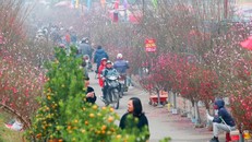 Thời tiết Tết Nguyên đán Tân Sửu: Bắc Bộ trời nắng, Nam Bộ đêm có mưa rào