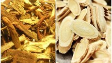 Nâng cao sức đề kháng phòng ngừa COVID-19