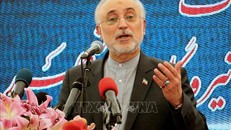 Giám đốc Tổ chức Năng lượng Nguyên tử Iran (AEOI) Ali-Akbar Salehi phát biểu trong cuộc họp báo tại Bushehr ngày 10/11/2019.