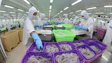 Hoạt động xuất nhập khẩu khởi sắc giúp nguồn thu thuế tăng. 