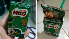 Chị V. phát hoảng khi phát hiện hộp sữa Milo đã bị vón cục, bốc mùi hôi thối mặc dù nắp hộp được dán kín và hạn sử dụng vẫn còn khá dài.