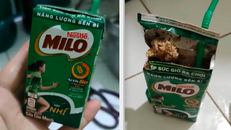 Chị V. phát hoảng khi phát hiện hộp sữa Milo đã bị vón cục, bốc mùi hôi thối mặc dù nắp hộp được dán kín và hạn sử dụng vẫn còn khá dài.