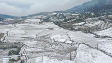 Bắc Bộ và Trung Bộ tiếp tục có rét đậm, rét hại, khả năng xuất hiện sương muối