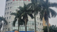 Ôm dự án nhà ở xã hội nghìn tỷ, năng lực thực sự của Viglacera thế nào?