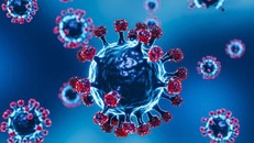 Siêu biến thể Omicron được cho là có khả năng lẩn tránh được miễn dịch tạo ra từ vaccine hiện nay.