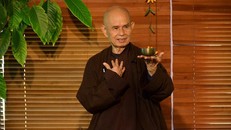 Thiền sư Thích Nhất Hạnh là bậc chân tu, dành trọn đời mình cho Phật pháp và hoà bình.