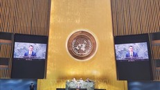 Đại sứ Đặng Hoàng Giang phát biểu tại phiên họp. 