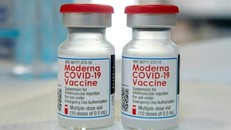 Tiêm vaccine Moderna liều 0,25ml cho trẻ từ 6 - dưới 12 tuổi