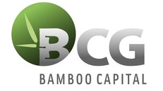 Bamboo Capital: Âm nặng dòng tiền, nguồn vốn bị lệ thuộc rất lớn vào vay nợ?