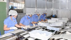 Giải pháp cải thiện môi trường đầu tư kinh doanh và công tác cải cách hành chính