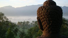 Dù bị thiệt thòi hay lấn lướt, ta vẫn quyết đi theo con đường của Phật