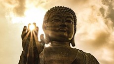 Hiểu thêm về thánh hạnh từ bi của Đức Phật