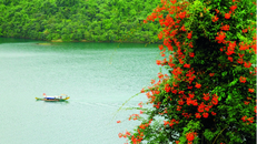 Thiền viện Trúc Lâm Bạch Mã - Chốn thiền tịnh đẹp như tranh