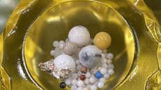 Xá lợi của Cố Đại lão Hoà thượng Tinh Vân. 