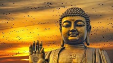 Đức Phật nói gì về sáu tai họa của người đam mê cờ bạc?