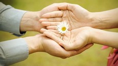 Tha thứ đôi khi là điều quá lớn lao với nhiều người do cái tôi của họ lớn, một khi không biết tha thứ chúng ta sẽ tự vác gánh nặng lên chính mình. (Ảnh minh hoạ)