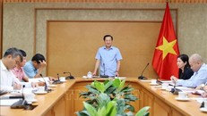 Phó Thủ tướng Lê Minh Khái phát biểu. 