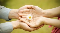 Người Phật tử hãy luôn sống thật chân thành và thẳng thắn