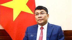 Thứ trưởng Thường trực Bộ Ngoại giao Nguyễn Minh Vũ trả lời phỏng vấn các cơ quan thông tấn, báo chí. 