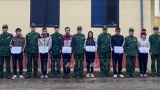 Các đối tượng trong đường dây tổ chức, môi giới, đưa người nước ngoài nhập cảnh trái phép. 