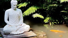 Chúng ta có thể học từ quá khứ nhưng đừng để bị trói buộc