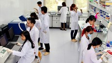 TP.HCM tập trung triển khai các giải pháp thu hút nhân tài