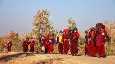 Cần hướng về tâm linh khi thực hành đạo Phật