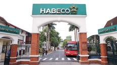 Bộ Công thương sẽ thanh tra Habeco trong năm 2024