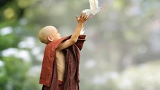 Hãy thương quý mạng sống chúng sinh