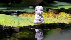 Mối quan hệ giữa Phật giáo và văn học