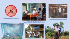 Quảng Bình: Phấn đấu loại trừ bệnh sốt rét vào năm 2026