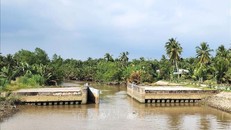 Hệ thống cống thuộc Dự án Đê bao sông Mang Thít, tỉnh Vĩnh Long (giai đoạn 2) giúp điều tiết và chủ động nguồn nước tưới tiêu. 