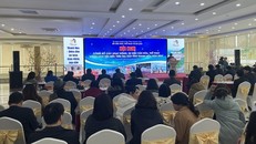 Toàn cảnh Hội nghị.