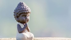 Không tranh chấp là pháp trang nghiêm