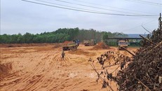 Các phương tiện vận chuyển đất rừng sản xuất bị đào lấy trái phép quy mô lớn ở thôn Bến Hà, xã Linh Trường, huyện Gio Linh, tỉnh Quảng Trị. 