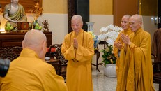 Vấn an Đức Pháp chủ trước thềm năm mới