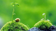 Bình an có nghĩa là gì?